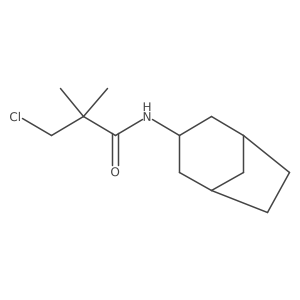 N-{bicyclo[3.2.1]octan-3-yl}-3-chloro-2,2-dimethylpropanamide结构式