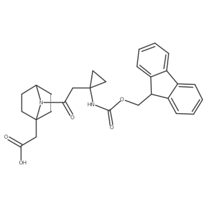 2172261-95-7 structure