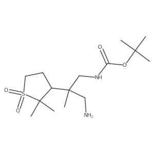 tert-butyl N-[3-amino-2-(2,2-dimethyl-1,1-dioxo-1lambda6-thiolan-3-yl)-2-methylpropyl]carbamate结构式