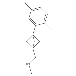 1-[3-(2,5-Dimethylphenyl)-1-bicyclo[1.1.1]pentanyl]-N-methylmethanamine结构式
