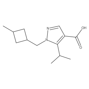 1-[(3-methylcyclobutyl)methyl]-5-(propan-2-yl)-1H-pyrazole-4-carboxylic acid结构式
