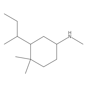 3-(butan-2-yl)-N,4,4-trimethylcyclohexan-1-amine结构式