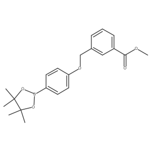 1306754-29-9结构式