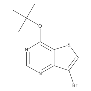 7-Bromo-4-(tert-butoxy)thieno[3,2-d]pyrimidine结构式