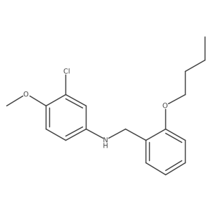 N-(2-Butoxybenzyl)-3-chloro-4-methoxyaniline Structure