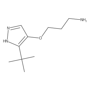 3-[(3-tert-butyl-1H-pyrazol-4-yl)oxy]propan-1-amine结构式