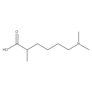 6-(Dimethylamino)-2-methylhexanoic acid Structure