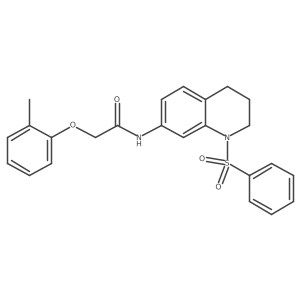 N-[1-(benzenesulfonyl)-1,2,3,4-tetrahydroquinolin-7-yl]-2-(2-methylphenoxy)acetamide Structure