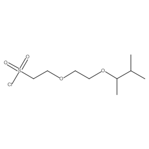 2-{2-[(3-Methylbutan-2-yl)oxy]ethoxy}ethane-1-sulfonyl chloride结构式