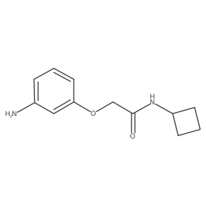 2-(3-aminophenoxy)-N-cyclobutylacetamide结构式