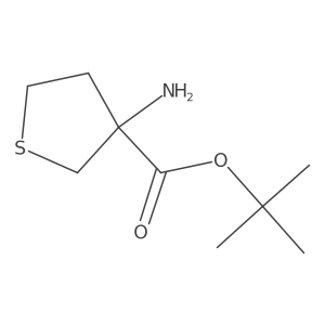 Tert-butyl 3-aminothiolane-3-carboxylate Structure