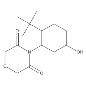 4-(2-Tert-butyl-5-hydroxycyclohexyl)morpholine-3,5-dione Structure