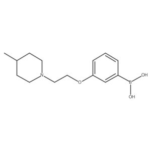 (3-(2-(4-Methylpiperidin-1-yl)ethoxy)phenyl)boronic acid结构式