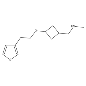1495669-81-2结构式