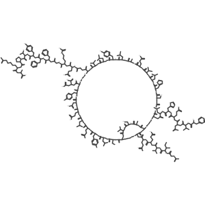 A1-B29-Diacetyl-insulin Structure