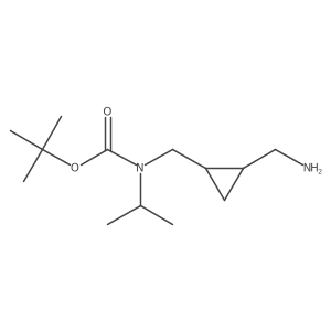 rac-tert-butyl N-{[(1R,2R)-2-(aminomethyl)cyclopropyl]methyl}-N-(propan-2-yl)carbamate结构式
