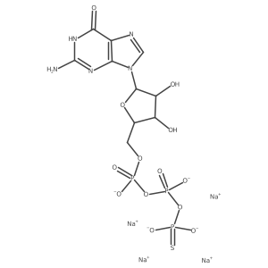 GTP.gamma.S Structure