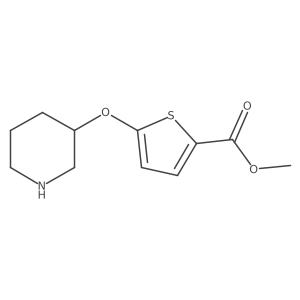 Methyl 5-(piperidin-3-yloxy)thiophene-2-carboxylate Structure