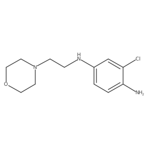 3-chloro-N1-(2-morpholinoethyl)benzene-1,4-diamine结构式