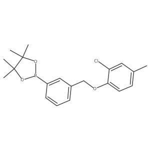 2246858-43-3 structure
