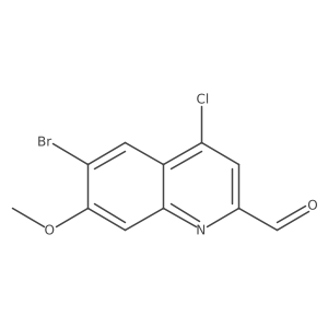 2810051-01-3 structure