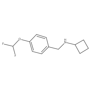 N-{[4-(Difluoromethoxy)phenyl]methyl}cyclobutanamine结构式