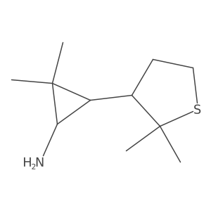 rac-(1R,3S)-3-(2,2-dimethylthiolan-3-yl)-2,2-dimethylcyclopropan-1-amine Structure
