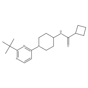 N-[1-(2-tert-butylpyrimidin-4-yl)piperidin-4-yl]cyclobutanecarboxamide结构式