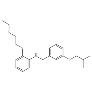 2-(2-Ethoxyethoxy)-N-(3-isobutoxybenzyl)aniline Structure