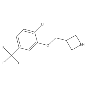 3-((2-Chloro-5-(trifluoromethyl)phenoxy)methyl)azetidine Structure