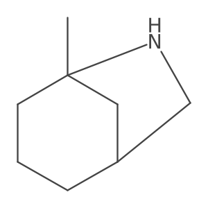 rac-(1R,5S)-5-methyl-6-azabicyclo[3.2.1]octane结构式