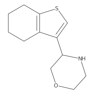 3-(4,5,6,7-Tetrahydro-1-benzothiophen-3-yl)morpholine结构式