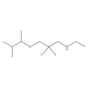 {2,2-Difluoro-3-[(3-methylbutan-2-yl)oxy]propyl}(ethyl)amine Structure