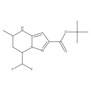 tert-butyl 7-(difluoromethyl)-5-methyl-4H,5H,6H,7H-pyrazolo[1,5-a]pyrimidine-2-carboxylate Structure