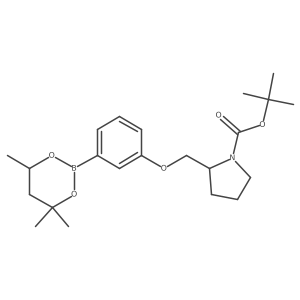 2096996-69-7 structure