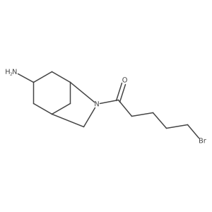 1-{3-Amino-6-azabicyclo[3.2.1]octan-6-yl}-5-bromopentan-1-one Structure