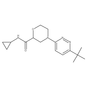 4-(6-tert-butylpyridazin-3-yl)-N-cyclopropylmorpholine-2-carboxamide结构式