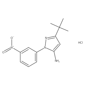 3-t-Butyl-1-(3-nitrophenyl)-1h-pyrazol-5-amine hydrochloride Structure