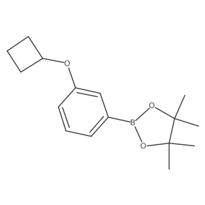 2-(3-Cyclobutoxyphenyl)-4,4,5,5-tetramethyl-1,3,2-dioxaborolane Structure