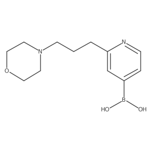 [2-(3-Morpholin-4-yl-propyl)-4-pyridinyl]-boronic acid Structure