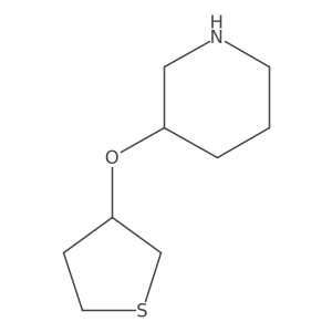 3-(Thiolan-3-yloxy)piperidine结构式
