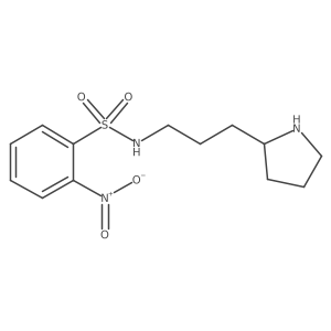 2-nitro-N-[3-(pyrrolidin-2-yl)propyl]benzene-1-sulfonamide结构式