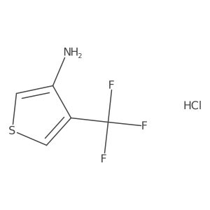 4-(Trifluoromethyl)thiophen-3-amine hydrochloride结构式