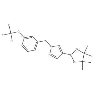 1604036-63-6 structure