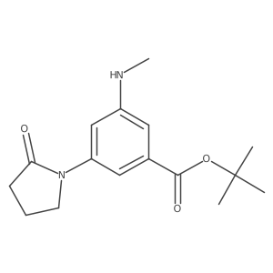 3-Methylamino-5-(2-oxo-pyrrolidin-1-yl)-benzoic acid tert-butyl ester Structure