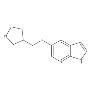 5-(pyrrolidin-3-ylmethoxy)-1H-pyrrolo[2,3-b]pyridine结构式