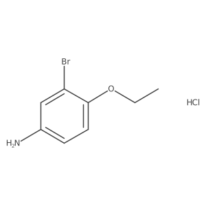 3-Bromo-4-ethoxyaniline hydrochloride结构式