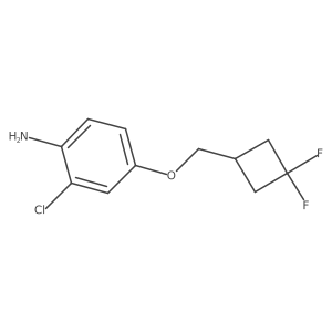 2-Chloro-4-((3,3-difluorocyclobutyl)methoxy)aniline结构式