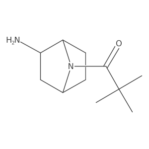 1-{2-Amino-7-azabicyclo[2.2.1]heptan-7-yl}-2,2-dimethylpropan-1-one结构式