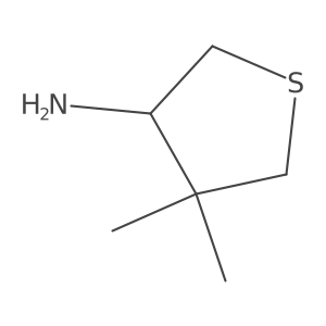 4,4-Dimethylthiolan-3-amine结构式